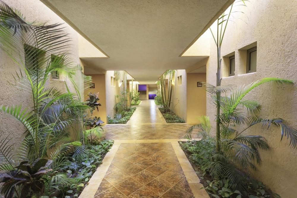 Hotel Los Patios Cabo San Lucas Dış mekan fotoğraf