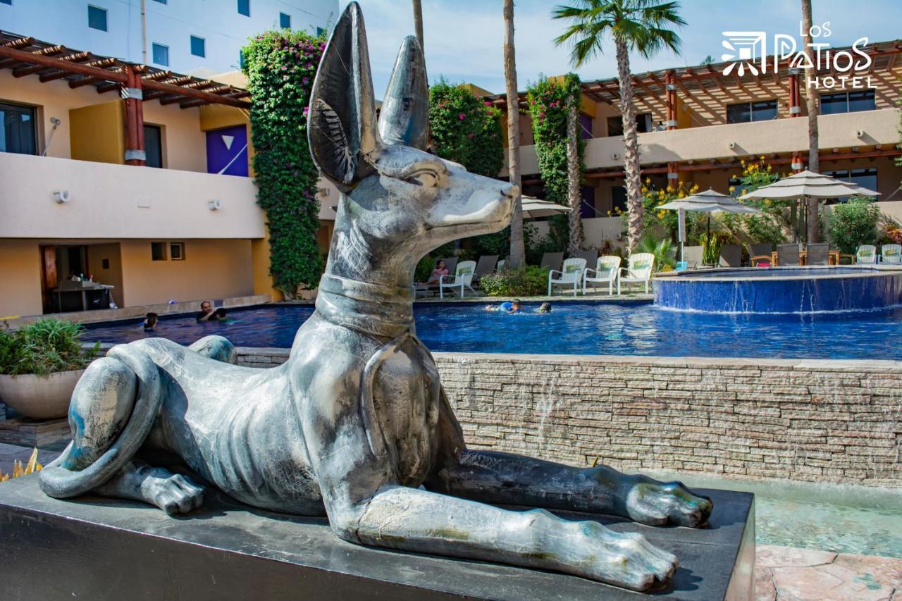 Hotel Los Patios Cabo San Lucas Dış mekan fotoğraf